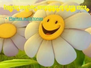 • Plantas autóctonas
 