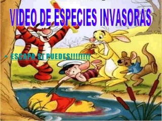 • ESCAPA SI PUEDES!!!!!!!!
 