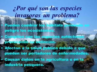 ¿Por qué son las especies
invasoras un problema?
• Pueden cambiar los hábitats poniendo en
peligro los ecosistemas.
• Compiten con las especies autóctonas
provocando su extinción.
• Afectan a la salud publica debido a que
pueden ser portadores de enfermedades.
• Causan daños en la agricultura o en la
industria pesquera.
 