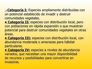 •  Categoría I:  Especies ampliamente distribuidas con un potencial establecido de invadir y destruir comunidades vegetales. •  Categoría II:  especies con distribución local, pero con poblaciones en rápida expansión o que muestran potencial para destruir comunidades vegetales en otras áreas. •  Categoría III:  especies con distribución local, con abundancia moderada o amenazas para hábitat  particulares. •  Categoría IV:  especies a niveles de abundancia variados, que necesitan una mayor disponibilidad de recursos y posibilidades para convertirse en invasoras. 