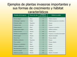 Ejemplos de plantas invasoras importantes y sus formas de crecimiento y hábitat característicos 