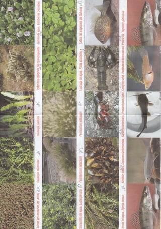 (a    €-tr
 q)
.g           s
 Ss
        '
        .=
 q)                   (/)
.N                    qJ
                      o
                      a
 a      E
         q)
                      S
         (n           5,
,Q      .g            .Q
LU
         C)
 ñi      o)           a
         a-
 Or,     clt
         o)           B
 c)-     v)
EC
 ()
         ((J
                   -:
                  ,o
                 v(/1
         (n
'6       ñ       P(Ú
                 og
        .o            c)
                      a-
-
's                    e
                      =
                      c)
        sc
        .P
                       e
                      '=
ü
S.
        SE
                      Q
q)'      CA
                      3
                      ()
c)<     *             sl
                      (/)
        ¡.¡r

,EQ     )             S
a
 q)
o)       (:t)
                      ü
                      J
(n       (it
o)       o)           lc
                       o)
t¡,
(g                    U)
         (:t)
ü,               ü'g'
(É
                 >P
                 5ñ
         o)
        J             c)
                      E
                      €
                      e
                      E
                      r
                      E
                      s
         F
                      c
         ÚJ           o
        =
        S             I
                      L
                      q)
                      E
                      (t'
         <b
        .Q

                 ets
        ü             C)


                      $
                      a
                      =
                      a
                      a.
                      CJ

                      q)
                      q
IJ      q)           .a
c¡J      ()       e
a       .fs       a
q)
(J
         QJ
         qJ
         r
                 S;
                 ÑL
SB               o'ff
                      c)
a        <tJ
        .e
e                     :
I        t
       .v.
                      6)


                      4
                            a
 a       *
s
o       .=
N
q                     q)
 o)
:(f     B
        =             E
U)
.9
                      {
                      qJ
 C)
o)
o-
         -¿
         o,           .f
(/,                   cti
         c)
o)
U)
(ú                    c)
U)
Ct,
        =a¡
                      E
                      o)
E                     U'
                      o)
€       a             o-
 