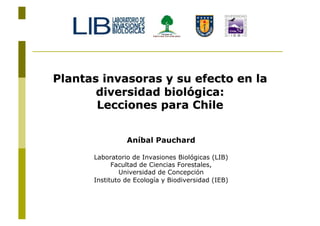 Aníbal Pauchard

Laboratorio de Invasiones Biológicas (LIB)
      Facultad de Ciencias Forestales,
        Universidad de Concepción
Instituto de Ecología y Biodiversidad (IEB)
 