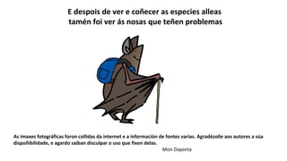 As imaxes fotográficas foron collidas da internet e a información de fontes varias. Agradézolle aos autores a súa
dispoñibilidade, e agardo saiban disculpar o uso que fixen delas.
Mon Daporta
E despois de ver e coñecer as especies alleas
tamén foi ver ás nosas que teñen problemas
 