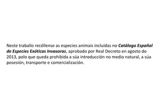 Neste traballo recóllense as especies animais incluídas no Catálogo Español
de Especies Exóticas Invasoras, aprobado por Real Decreto en agosto do
2013, polo que queda prohibida a súa introducción no medio natural, a súa
posesión, transporte e comercialización.
 