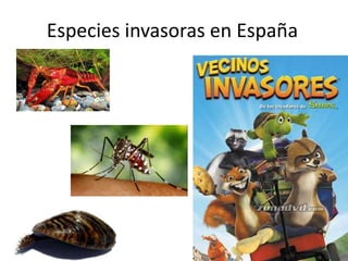Especies invasoras en España

 