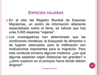 ESPECIES VIAJERAS
 En el sitio del Registro Mundial de Especies
  Migratorias, un centro de información altamente
  especializado sobre el tema, se calcula que hay
  unas 5.000 especies "viajeras".
 Los investigadores han determinado que las
  condiciones climáticas, la búsqueda de alimentos o
  de lugares adecuados para la nidificación son
  motivaciones importantes para la migración. Pero
  esta conducta encierra algunos misterios: ¿por qué
  algunas especies viajan distancias tan grandes? o
  ¿cómo supieron en el principio hacia dónde debían
  dirigirse?                                           10
                       Ecología Terrestre
 