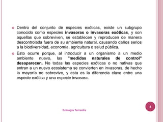    Dentro del conjunto de especies exóticas, existe un subgrupo
    conocido como especies invasoras o invasoras exóticas, y son
    aquellas que sobreviven, se establecen y reproducen de manera
    descontrolada fuera de su ambiente natural, causando daños serios
    a la biodiversidad, economía, agricultura o salud pública.
   Esto ocurre porque, al introducir a un organismo a un medio
    ambiente nuevo, las "medidas naturales de control"
    desaparecen. No todas las especies exóticas o no nativas que
    entran a un nuevo ecosistema se convierten en invasoras, de hecho
    la mayoría no sobrevive, y esta es la diferencia clave entre una
    especie exótica y una especie invasora.




                                                                        4
                           Ecología Terrestre
 