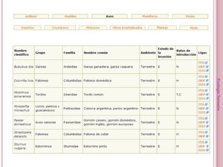 Ecología Terrestre
                     6
 