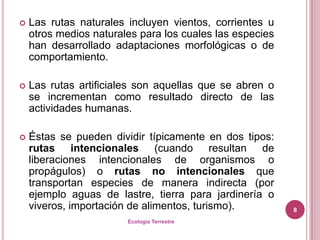   Las rutas naturales incluyen vientos, corrientes u
    otros medios naturales para los cuales las especies
    han desarrollado adaptaciones morfológicas o de
    comportamiento.

   Las rutas artificiales son aquellas que se abren o
    se incrementan como resultado directo de las
    actividades humanas.

   Éstas se pueden dividir típicamente en dos tipos:
    rutas intencionales (cuando resultan de
    liberaciones intencionales de organismos o
    propágulos) o rutas no intencionales que
    transportan especies de manera indirecta (por
    ejemplo aguas de lastre, tierra para jardinería o
    viveros, importación de alimentos, turismo).          8
                        Ecología Terrestre
 