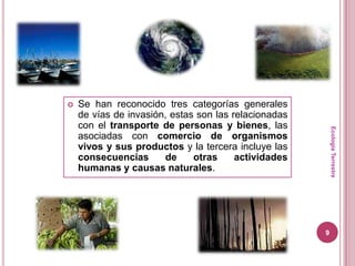    Se han reconocido tres categorías generales
    de vías de invasión, estas son las relacionadas
    con el transporte de personas y bienes, las




                                                          Ecología Terrestre
    asociadas con comercio de organismos
    vivos y sus productos y la tercera incluye las
    consecuencias      de     otras     actividades
    humanas y causas naturales.




                                                      9
 