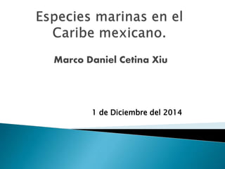 Marco Daniel Cetina Xiu 
1 de Diciembre del 2014 
 