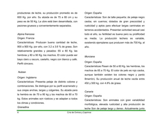 productoras de leche, su producción promedio es de
600 Kg. por año. Su alzada es de 75 a 80 cm y su
peso es de 50 Kg. La ubre está bien desarrollada, con
pezones gruesos y convenientemente separados.
Alpina francesa
Origen: Francia
Características: Producen buena cantidad de leche,
800 a 900 Kg. por año, con 3.2 a 3.6 % de grasa. Son
relativamente grandes y pesados: 65 a 80 Kg. las
hembras y 80 a 90 Kg. los machos. El color puede ser
bayo claro u oscuro, castaño, negro con blanco y café.
Perfil cóncavo.
Nubian
Origen: Inglaterra
Características: Presenta pelaje de distinto colores y
combinaciones. Se distingue por su perfil acarnerado y
sus orejas anchas, largas y colgantes. Su alzada para
la hembra es de 70 a 80 kg y los machos de 60 a 70
kg. Estos animales son rústicos y se adaptan a todos
los climas y condiciones.
Granadina
Origen: España
Características: Son de talla pequeña; de pelaje negro
caoba; sin cuernos; dotados de gran precocidad y
rusticidad y aptos para efectuar largas caminatas en
terrenos accidentados. Presentan actividad sexual casi
todo el año, su fertilidad es buena pero su prolificidad
es media. La producción lechera es variable,
existiendo ejemplares que producen más de 700 Kg. al
año.
Murciana
Origen: España
Características Pesan de 50 a 60 Kg. las hembras, los
machos de 65 a 70 Kg. El color de pelo es rojo caoba,
aunque también existen los colores negro y pardo
8marrón). Su producción anual de leche oscila entre
450 y 500 kg, con 4.8% de grasa.
Canaria
Origen: España
Características: Son animales con gran variabilidad
morfológica, elevada rusticidad y alta producción de
leche Son de pelaje largo y denso. Actualmente junto
Cría de Ovinos y Caprinos
6
 