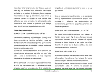 necesitan, tomar en promedio, dos litros de agua por
cada Kg. de alimento seco consumido. Las ovejas
preñadas o en periodo de lactación, tienen mayores
necesidades de agua y alimentación. Los ovinos y
caprinos utilizan los forrajes de una manera más
eficiente que otros animales. Su alimentación debe
alcanzar un buen balance de proteínas y de energía
para permitir un nivel deseable de producción.
Tipos de Alimentación
ALIMENTACIÓN DE HEMBRAS GESTANTES
La alimentación es muy importante para conseguir un
buen porcentaje de hembras preñadas, pues las
hembras con un buen estado corporal al apareamiento
presentan mejor tasa de ovulación y mayor número de
corderos nacidos y gemelos.
Durante las primeras 15 semanas de la gestación, los
requerimientos alimenticios son sólo un poco más
altos para el mantenimiento. El nivel requerido
depende de la condición de los animales.
En las primeras 6 semanas de la gestación se realiza
el 70% del crecimiento fetal. La alimentación debe
empezar unas tres semanas antes de la estación de
empadre, la hembra debe aumentar su peso en un kg.
por semana.
Uno de los suplementos alimenticios es el rastrojo de
maíz y suplementación con harina de ajonjolí. Esto
conlleva a satisfacer los requerimientos de
mantenimiento, permitiendo pequeñas ganancias en
ovejas en gestación.
ALIMENTACIÓN DE HEMBRAS EN LACTACIÓN
Es común que durante la lactancia de 4 meses, la
hembra pierda unos 5 Kg. de peso. Por eso, la oveja
debe recibir alimentos de buena calidad. Los mejores
potreros se deben destinar a las ovejas con crías.
Cuando el forraje es de buena calidad, las crías
también se animan a consumirlo.
ALIMENTACIÓN DE MACHOS
Los machos jóvenes de reemplazo deben estar bien
alimentados. Normalmente, los forrajes de buena
calidad son para obtener un crecimiento deseado.
Durante el empadre, los ovinos machos deben recibir
concentrados extra. Al terminar la estación de
empadre, se debe dejar que los animales recuperen
Cría de Ovinos y Caprinos 13
 
