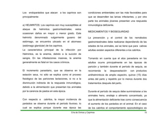 Los endoparásitos que atacan a los caprinos son
principalmente:
a) HELMINTOS: Los caprinos son muy susceptibles al
ataque de helmintos gastrointestinales; estos
ocasionan daños en mayor o menor grado. Este
helminto denominado vulgarmente gusano del
estómago, se encuentra ubicado en el abomaso
(estómago glandular) de los caprinos.
La característica principal de la infección por
Helmintos, es la anemia, debido a la succión de
sangre. En las infestaciones masivas, la anemia
generalmente es fatal en los casos crónicos.
El incremento parasitario, que se observa en la
estación seca, no sólo se explica como el proceso
fisiológico de las pariciones lactaciones, si no a la
disminución indirecta de la respuesta inmunológica,
debido a la alimentación que presentan los animales
por la carencia de pastos en esta época.
Con respecto a cabritos, la mayor incidencia de
parásitos se observa durante el período lluvioso, lo
cual se explica porque durante esa época las
condiciones ambientales son las más favorables para
que se desarrollen las larvas infectantes, y por otra
parte los animales jóvenes presentan una respuesta
inmunológica deficiente.
MEDICAMENTOS Y BIOSEGURIDAD
La prevención y el control de los nemátodos
gastrointestinales debe realizarse dependiendo de las
edades de los animales, así se tiene que para cabras
adultas existen aspectos diferentes a los cabritos.
Tomando en cuenta que el alza parasitaria en los
adultos ocurre principalmente en las épocas de
parición y también durante el período de sequía, se
recomienda la desparasitación con productos
antihelmínticos de amplio espectro, quince (15) días
antes del parto y repetirlo por lo menos durante dos
tratamientos después del parto.
Durante el período de sequía debe suministrarse a los
animales heno, ensilaje o alimento concentrado, ya
que la alimentación deficiente trae como consecuencia
el aumento de los parásitos en el animal. En el caso
de los cabritos el comportamiento epizootiológico es
Cría de Ovinos y Caprinos 15
 