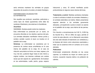 sería entonces mantener los animales en grupos
separados de acuerdo a la edad y el estado fisiológico.
ENFERMEDADES CAUSADAS POR
ECTOPARÁSITOS
Son aquellos que producen: ascarlósis, pediculosis y
varios tipos de miasis (gusaneras) entre ellas las
cavitarias (Oestriasis) y las externas no facultativas.
Ascarlósis
SINONIMIA. Sordera-arestin (entre los criadores).
Esta enfermedad es producida por un ácaro, se
encuentra difundida en los rebaños caprinos del país.
Los animales afectados manifiestan intenso prurito y
sordera variable cuando el ácaro se localiza en el
pabellón de la oreja.
Síntomas: La enfermedad se caracteriza por la
presencia de costras secas amarillentas en la cara
interna del pabellón de la oreja. En el caso de
infección secundaria se forma una masa, espesa y de
muy mal olor, pudiendo llegar hasta el oído interno y
originar sordera. Las lesiones cutáneas son costras
secas que dan aspecto de agrietamiento. Se localizan
en las extremidades, cuello, pecho, grupa, espacio
intercornal y otros. El animal manifiesta prurito
produciéndose en algunos casos úlceras dérmicas.
Tratamiento y control: Medidas sanitarias orientadas
a evitar la entrada al rebaño de animales infestados y
el combate sistemático con baños. Deben presentarse
especial atención a los animales gravemente
afectados, principalmente cuando la lesión se asienta
en el pabellón de la oreja, cara interna de las piernas,
otros.
Con Asuntol a concentraciones de 0.50 %, 0.250 Kg
de Asuntol 50 p. 100 en 200Lt de agua, permite el
control de esta afección, en la inflamación secundaria
del oído está indicado el tratamiento con antibióticos y
la limpieza del mismo como soluciones acariciadas y
tratar que la sustancia entre en contacto con la zona
afectada.
Pediculosis
Enfermedad ampliamente difundida en las zonas
caprinas. La incidencia es mayor en verano que en
invierno, causando mayores daños a la población de
cabritos.
Cría de Ovinos y Caprinos 17
 