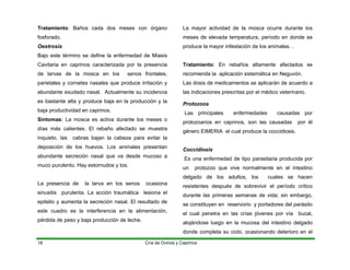 Tratamiento: Baños cada dos meses con órgano
fosforado.
Oestrosis
Bajo este término se define la enfermedad de Miasis
Cavitaria en caprinos caracterizada por la presencia
de larvas de la mosca en los senos frontales,
parietales y cornetes nasales que produce irritación y
abundante exudado nasal. Actualmente su incidencia
es bastante alta y produce baja en la producción y la
baja productividad en caprinos.
Síntomas: La mosca es activa durante los meses o
días más calientes. El rebaño afectado se muestra
inquieto, las cabras bajan la cabeza para evitar la
deposición de los huevos. Los animales presentan
abundante secreción nasal que va desde mucoso a
muco purulento. Hay estornudos y tos.
La presencia de la larva en los senos ocasiona
sinusitis purulenta. La acción traumática lesiona el
epitelio y aumenta la secreción nasal. El resultado de
este cuadro es la interferencia en la alimentación,
pérdida de peso y baja producción de leche.
La mayor actividad de la mosca ocurre durante los
meses de elevada temperatura, período en donde se
produce la mayor infestación de los animales. .
Tratamiento: En rebaños altamente afectados se
recomienda la aplicación sistemática en Neguvón.
Las dosis de medicamentos se aplicarán de acuerdo a
las indicaciones prescritas por el médico veterinario.
Protozoos
Las principales enfermedades causadas por
protozoarios en caprinos, son las causadas por él
género EIMERIA el cual produce la coccidiosis.
Coccidiosis
Es una enfermedad de tipo parasitaria producida por
un protozoo que vive normalmente en el intestino
delgado de los adultos, los cuales se hacen
resistentes después de sobrevivir el período crítico
durante las primeras semanas de vida; sin embargo,
se constituyen en reservorio y portadores del parásito
el cual penetra en las crías jóvenes por vía bucal,
alojándose luego en la mucosa del intestino delgado
donde completa su ciclo, ocasionando deterioro en el
Cría de Ovinos y Caprinos
18
 