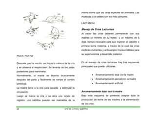 POST- PARTO
Después que ha nacido, se limpia la cabeza de la cría
y se observa si respira bien. Se levanta de las patas
posteriores para reanimarla.
Normalmente, la madre se levanta bruscamente
después del parto y fácilmente se rompe el cordón
umbilical.
La madre lame a la cría para secarla y estimular la
circulación.
Luego se marca la cría y se abre una tarjeta de
registro. Los cabritos pueden ser marcados de la
misma forma que las otras especies de animales. Las
muescas y los aretes son los más comunes.
LACTANCIA
Manejo de Crías Lactantes
Al nacer las crías deberán permanecer con sus
madres un mínimo de 72 horas y un máximo de 5
días, tiempo necesario para que ingieran el calostro o
primera leche materna, a través de la cual las crías
recibirán nutrientes y anticuerpos imprescindibles para
su supervivencia y desarrollo posterior.
En el manejo de crías lactantes hay tres esquemas
principales que puede utilizarse.
• Amamantamiento total con la madre
• Amamantamiento parcial con la madre
• Amamantamiento artificial
Amamantamiento total con la madre
Bajo este esquema se pretende asignar toda la
producción de leche de las madres a la alimentación
de las crías.
Cría de Ovinos y Caprinos
22
 
