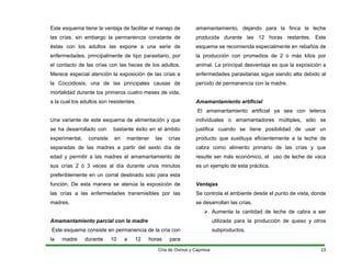 Este esquema tiene la ventaja de facilitar el manejo de
las crías, sin embargo la permanencia constante de
éstas con los adultos las expone a una serie de
enfermedades, principalmente de tipo parasitario, por
el contacto de las crías con las heces de los adultos.
Merece especial atención la exposición de las crías a
la Coccidiosis, una de las principales causas de
mortalidad durante los primeros cuatro meses de vida,
a la cual los adultos son resistentes.
Una variante de este esquema de alimentación y que
se ha desarrollado con bastante éxito en el ámbito
experimental, consiste en mantener las crías
separadas de las madres a partir del sexto día de
edad y permitir a las madres el amamantamiento de
sus crías 2 ó 3 veces al día durante unos minutos
preferiblemente en un corral destinado solo para esta
función. De esta manera se atenúa la exposición de
las crías a las enfermedades transmisibles por Ias
madres.
Amamantamiento parcial con la madre
Este esquema consiste en permanencia de la cría con
la madre durante 10 a 12 horas para
amamantamiento, dejando para la finca la leche
producida durante las 12 horas restantes. Este
esquema se recomienda especialmente en rebaños de
la producción con promedios de 2 o más kilos por
animal. La principal desventaja es que la exposición a
enfermedades parasitarias sigue siendo alta debido al
período de permanencia con la madre.
Amamantamiento artificial
El amamantamiento artificial ya sea con teteros
individuales o amamantadores múltiples, sólo se
justifica cuando se tiene posibilidad de usar un
producto que sustituya eficientemente a la leche de
cabra como alimento primario de las crías y que
resulte ser más económico, el uso de leche de vaca
es un ejemplo de esta práctica.
Ventajas
Se controla el ambiente desde el punto de vista, donde
se desarrollan las crías.
¾ Aumenta la cantidad de leche de cabra a ser
utilizada para la producción de queso y otros
subproductos.
Cría de Ovinos y Caprinos 23
 
