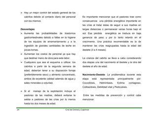 ¾ Hay un mejor control del estado general de los
cabritos debido al contacto diario del personal
con los mismos.
Desventajas
¾ Aumenta las probabilidades de trastornos
gastrointestinales debido a fallas en la higiene
de los equipos de amamantamiento y a la
ingestión de grandes cantidades de leche en
pocas tomas.
¾ Aumentan los costos de personal ya que hay
que destinar mano de obra para esta labor.
¾ Cualquiera que sea el esquema a utilizar, los
cabritos a partir de la segunda semana de
edad, deberían tener a su disposición forraje
(preferiblemente seco) y alimento concentrado,
ambos de excelente calidad además de agua y
sales minerales a voluntad.
¾ Si el manejo de la explotación incluye el
pastoreo de las madres, deberá evitarse la
salida a pastoreo de las crías por lo menos
hasta los dos meses de edad.
Es importante mencionar que el pastoreo trae como
consecuencia una pérdida energética importante en
las crías al tratar éstas de seguir a sus madres en
largas distancias o permanecer varias horas bajo el
sol. Esa pérdida energética se traduce en baja
ganancia de peso y por lo tanto retardo en el
crecimiento. Una práctica recomendable es la de
mantener las crías reagrupadas hasta la edad del
destete (3 a 4 meses).
La crianza del cabrito se lleva a cabo considerando
dos etapas una del nacimiento al destete y la otra del
destete al año de edad.
Nacimiento-Destete: La problemática durante esta
etapa está representada principalmente por:
Coccidiósis, Helmintiasis, Ectima contagioso,
Colibacilosis, Debilidad vital y Pediculosis.
Entre las medidas de prevención y control cabe
mencionar:
Cría de Ovinos y Caprinos
24
 
