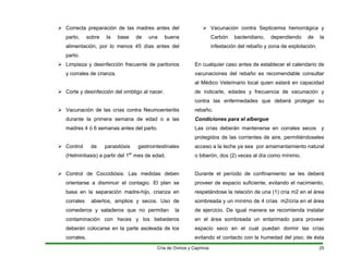 ¾ Correcta preparación de las madres antes del
parto, sobre la base de una buena
alimentación, por lo menos 45 días antes del
parto.
¾ Limpieza y desinfección frecuente de paritorios
y corrales de crianza.
¾ Corte y desinfección del ombligo al nacer.
¾ Vacunación de las crías contra Neumoenteritis
durante la primera semana de edad o a las
madres 4 ó 6 semanas antes del parto.
¾ Control de parasitósis gastrointestinales
(Helmintiasis) a partir del 1er
mes de edad.
¾ Control de Coccidiósis: Las medidas deben
orientarse a disminuir el contagio. El plan se
basa en la separación madre-hijo, crianza en
corrales abiertos, amplios y secos. Uso de
comederos y saladeros que no permitan la
contaminación con heces y los bebederos
deberán colocarse en la parte asoleada de los
corrales.
¾ Vacunación contra Septicemia hemorrágica y
Carbón bacteridiano, dependiendo de la
infestación del rebaño y zona de explotación.
En cualquier caso antes de establecer el calendario de
vacunaciones del rebaño es recomendable consultar
al Médico Veterinario local quien estará en capacidad
de indicarle, edades y frecuencia de vacunación y
contra las enfermedades que deberá proteger su
rebaño.
Condiciones para el albergue
Las crías deberán mantenerse en corrales secos y
protegidos de las corrientes de aire, permitiéndoseles
acceso a la leche ya sea por amamantamiento natural
o biberón, dos (2) veces al día como mínimo.
Durante el período de confinamiento se les deberá
proveer de espacio suficiente, evitando el nacimiento,
respetándose la relación de una (1) cría m2 en el área
sombreada y un mínimo de 4 crías m2/cría en el área
de ejercicio. De igual manera se recomienda instalar
en el área sombreada un entarimado para proveer
espacio seco en el cual puedan dormir las crías
evitando el contacto con la humedad del piso; de ésta
Cría de Ovinos y Caprinos 25
 