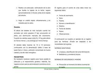 ¾ Realice una adecuada estimulación de la ubre
que facilite la bajada de la leche, espere
aproximadamente 2 minutos antes de la bajada
de la leche.
¾ Haga un ordeño rápido, eficientemente y sin
molestia para la cabra.
Destete
El efecto del destete es más marcado cuando los
animales son poco pesados (7 kg), provocando en
éstos una disminución marcada del crecimiento.
Cuando los cabritos pesan entre 9 y 10 kg este efecto
es menos intenso y se prolonga por menos tiempo.
El destete debe hacerse de 10 a 12 semanas,
continuando con la alimentación sólida a base de
pasto tierno o heno y alimento concentrado de buena
calidad y de alto valor energético.
REGISTROS
Es necesario mantener registro para hacer posible la
selección y el mejoramiento genético. Además, los
registros sirven para la administración económica de la
granja.
El registro para el control de crías debe incluir los
siguientes datos:
• Fecha de nacimiento.
• Sexo.
• Padres.
• Número e identificación.
• Destino.
• Fecha de destete.
• Pesos.
• Observaciones.
A continuación se muestra un ejemplo de un registro
para las hembras. (Puede ser adaptado a las
necesidades de la granja.
NORMAS SANITARIAS
™ Limpieza y desinfección del corral del lactante
™ Bebederos y comederos limpios
NORMAS DE SEGURIDAD E HIGIENE
™ Precaución al momento de retirar al animal de
la madre
Cría de Ovinos y Caprinos 29
 