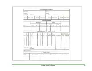 Cría de Ovinos y Caprinos 31
 