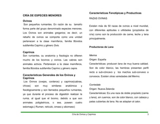CRÍA DE ESPECIES MENORES
Ovinos
Son pequeños rumiantes. En razón de su tamaño
forma parte del grupo denominado especies menores.
Los Ovinos son animales gregarios; es decir, un
rebaño de ovinos se comporta como una unidad
pertenecen a la clase mamíferos, familia Bóvidos
subfamilia Caprino y género Ovis.
Caprinos
Son rumiantes, su anatomía y fisiología no difieren
mucho de los bovinos y ovinos. Las cabras son
animales activos. Pertenecen a la clase mamíferos,
familia Bóvidos subfamilia Caprino y género capra.
Características Generales de los Ovinos y
Caprinos
Los Ovinos (ovejas, corderos) y caprinos(cabras,
chivas) son muy similares anatómica y
fisiológicamente y son llamados pequeños rumiantes,
ya que durante el proceso de digestión realizan la
rumia, al igual que el bovino, debido a que son
animales poligástricos, o sea, poseen cuatro
estomago.( Rumen, retículo, omaso y abomaso)
Características Fenotípicas y Productivas
RAZAS OVINAS
Existen más de 50 razas de ovinos a nivel mundial,
con diferentes aptitudes o utilidades (propósitos de
cría) como son la producción de carne, leche y lana
principalmente.
Productoras de Lana
Merina
Origen: España
Características: producen lana de muy buena calidad.
Son de color blanco, las hembras presentan perfil
recto a sub-cóncavo y los machos sub-convexo a
convexos. Existen otras variedades del Merino.
Corriedale
Origen: Nueva Zelanda
Características: Es una raza de doble propósito (carne
y lana), sin cuernos, son de color blanco, con cabeza y
patas cubiertas de lana. No se adaptan al calor.
Cría de Ovinos y Caprinos 3
 