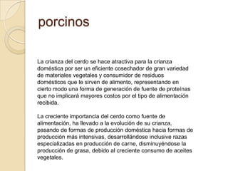porcinos
La crianza del cerdo se hace atractiva para la crianza
doméstica por ser un eficiente cosechador de gran variedad
de materiales vegetales y consumidor de residuos
domésticos que le sirven de alimento, representando en
cierto modo una forma de generación de fuente de proteínas
que no implicará mayores costos por el tipo de alimentación
recibida.
La creciente importancia del cerdo como fuente de
alimentación, ha llevado a la evolución de su crianza,
pasando de formas de producción doméstica hacia formas de
producción más intensivas, desarrollándose inclusive razas
especializadas en producción de carne, disminuyéndose la
producción de grasa, debido al creciente consumo de aceites
vegetales.
 