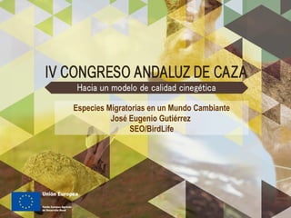 Especies Migratorias en un Mundo Cambiante
José Eugenio Gutiérrez
SEO/BirdLife
 