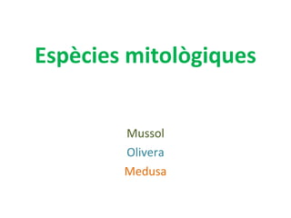 Espècies mitològiques Mussol Olivera Medusa 