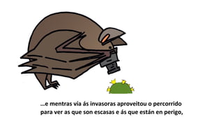 …e mentras vía ás invasoras aproveitou o percorrido
para ver as que son escasas e ás que están en perigo,
 