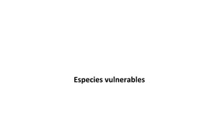 Especies vulnerables
 