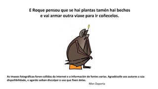 E Roque pensou que se hai plantas tamén hai bechos
e vai armar outra viaxe para ir coñecelos.
As imaxes fotográficas foron collidas da internet e a información de fontes varias. Agradézolle aos autores a súa
dispoñibilidade, e agardo saiban disculpar o uso que fixen delas.
Mon Daporta
 