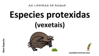 Especies protexidas
(vexetais)
COUSIÑAS FEITAS NA CASA
AS LIDEIRAS DE ROQUE
MonDaporta
 