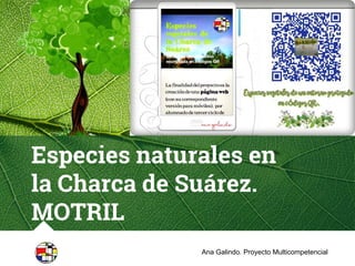 Especies naturales en
la Charca de Suárez.
MOTRIL
Ana Galindo. Proyecto Multicompetencial
 