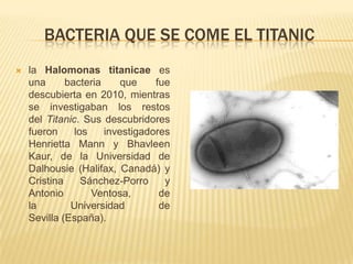 BACTERIA QUE SE COME EL TITANIC
   la Halomonas titanicae es
    una      bacteria     que    fue
    descubierta en 2010, mientras
    se investigaban los restos
    del Titanic. Sus descubridores
    fueron     los    investigadores
    Henrietta Mann y Bhavleen
    Kaur, de la Universidad de
    Dalhousie (Halifax, Canadá) y
    Cristina     Sánchez-Porro     y
    Antonio        Ventosa,       de
    la        Universidad         de
    Sevilla (España).
 