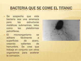 BACTERIA QUE SE COME EL TITANIC
   Se sospecha que esta
    bacteria sea una amenaza
    para       las       estructuras
    metálicas submarinas, tales
    como       las      plataformas
    petrolíferas.
   El     microorganismo         se
    adhiere       fácilmente       a
    superficies      de       acero,
    creando        salientes      de
    herrumbre. Se cree que
    trabaja en conjunto con otros
    organismos para acelerar
    la corrosión.
 