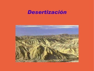 Estas formaciones están adaptadas a la sequía estival mediante diversos sistemas: extendiendo las raíces para captar el agua, con hojas perennes y esclerófilas (duras y coriáceas) , sustituyendo las hojas por espinas, etc. 
