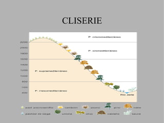 ESTEPA Paraje abierto ocupado por especies vegetales herbáceas y ausencia casi total de árboles 