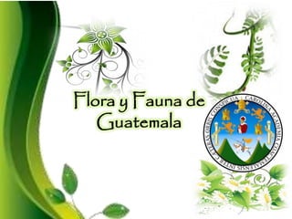 Flora y Fauna de
Guatemala
 