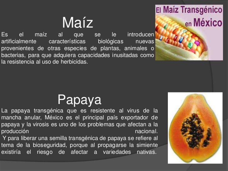 Dos Especies Animales O Vegetales Que Hayan Sufrido Alguna Mutación