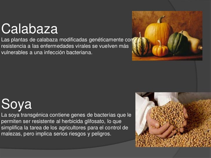 Mutaciones Genéticas En Plantas