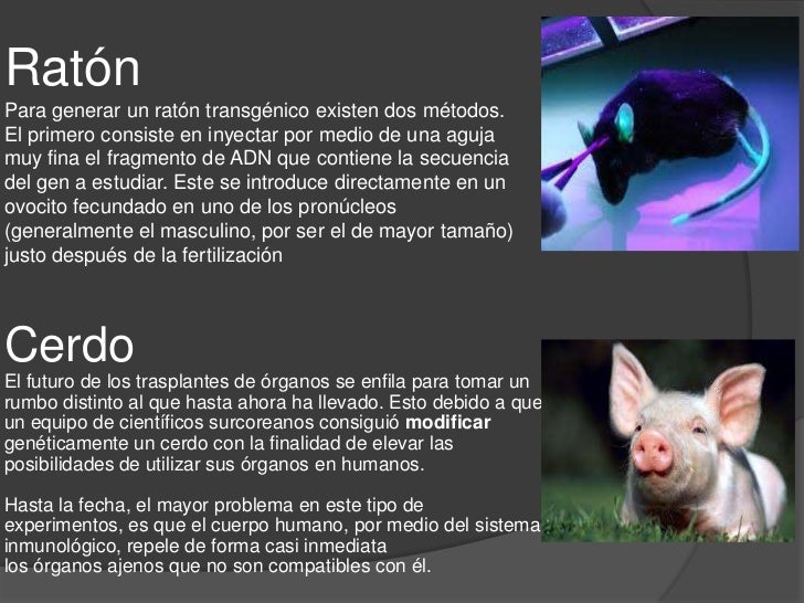 Especies vegetales y animales que han sufrido una mutación