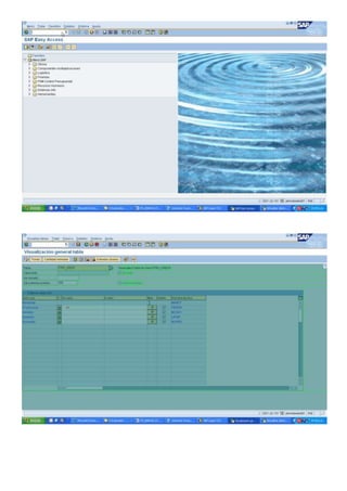 Especificacion E067   Documento Funcional