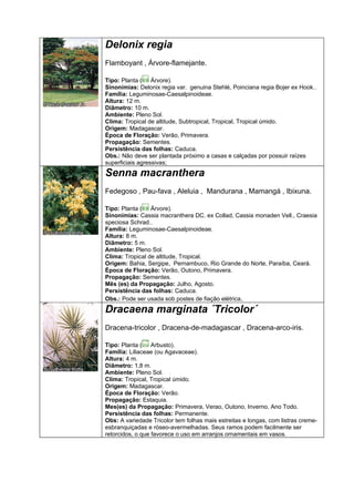 Delonix regia
Flamboyant , Árvore-flamejante.

Tipo: Planta ( Árvore).
Sinonímias: Delonix regia var. genuina Stehlé, Poinciana regia Bojer ex Hook..
Família: Leguminosae-Caesalpinoideae.
Altura: 12 m.
Diâmetro: 10 m.
Ambiente: Pleno Sol.
Clima: Tropical de altitude, Subtropical, Tropical, Tropical úmido.
Origem: Madagascar.
Época de Floração: Verão, Primavera.
Propagação: Sementes.
Persistência das folhas: Caduca.
Obs.: Não deve ser plantada próximo a casas e calçadas por possuir raízes
superficiais agressivas;
Senna macranthera
Fedegoso , Pau-fava , Aleluia , Mandurana , Mamangá , Ibixuna.

Tipo: Planta ( Árvore).
Sinonímias: Cassia macranthera DC. ex Collad, Cassia monaden Vell., Craesia
speciosa Schrad..
Família: Leguminosae-Caesalpinoideae.
Altura: 8 m.
Diâmetro: 5 m.
Ambiente: Pleno Sol.
Clima: Tropical de altitude, Tropical.
Origem: Bahia, Sergipe, Pernambuco, Rio Grande do Norte, Paraíba, Ceará.
Época de Floração: Verão, Outono, Primavera.
Propagação: Sementes.
Mês (es) da Propagação: Julho, Agosto.
Persistência das folhas: Caduca.
Obs.: Pode ser usada sob postes de fiação elétrica.
Dracaena marginata ´Tricolor´
Dracena-tricolor , Dracena-de-madagascar , Dracena-arco-iris.

Tipo: Planta ( Arbusto).
Família: Liliaceae (ou Agavaceae).
Altura: 4 m.
Diâmetro: 1,8 m.
Ambiente: Pleno Sol.
Clima: Tropical, Tropical úmido.
Origem: Madagascar.
Época de Floração: Verão.
Propagação: Estaquia.
Mes(es) da Propagação: Primavera, Verao, Outono, Inverno, Ano Todo.
Persistência das folhas: Permanente.
Obs: A variedade Tricolor tem folhas mais estreitas e longas, com listras creme-
esbranquiçadas e róseo-avermelhadas. Seus ramos podem facilmente ser
retorcidos, o que favorece o uso em arranjos ornamentais em vasos.
 