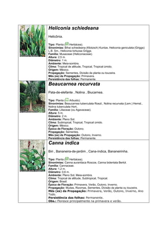 Heliconia schiedeana
Helicônia.

Tipo: Planta ( Herbácea).
Sinonímias: Bihai schiedeana (Klotzsch) Kuntze, Heliconia geniculata (Griggs)
L.B. Sm., Heliconia tortuosa Griggs.
Família: Musaceae (Heliconiaceae).
Altura: 2,5 m.
Diâmetro: 1 m.
Ambiente: Meia-sombra.
Clima: Tropical de altitude, Tropical, Tropical úmido.
Origem: México.
Propagação: Sementes, Divisão da planta ou touceira.
Mês (es) da Propagação: Primavera.
Persistência das folhas: Permanente.
Beaucarnea recurvata
Pata-de-elefante , Nolina , Biucarnea.

Tipo: Planta ( Arbusto).
Sinonímias: Beaucarnea tuberculata Roezl., Nolina recurvata (Lem.) Hemsl.,
Nolina tuberculata Hort..
Família: Liliaceae (ou Agavaceae).
Altura: 5 m.
Diâmetro: 2 m.
Ambiente: Pleno Sol.
Clima: Subtropical, Tropical, Tropical úmido.
Origem: México.
Época de Floração: Outono.
Propagação: Sementes.
Mês (es) da Propagação: Outono, Inverno.
Persistência das folhas: Permanente.
Canna indica
Biri , Bananeira-de-jardim , Cana-índica, Bananeirinha.

Tipo: Planta ( Herbácea).
Sinonímias: Canna aurantiaca Roscoe, Canna bidentata Bertol.
Família: Cannaceae.
Altura: 1,2 m.
Diâmetro: 0,6 m.
Ambiente: Pleno Sol, Meia-sombra.
Clima: Tropical de altitude, Subtropical, Tropical.
Origem: Brasil.
Época de Floração: Primavera, Verão, Outono, Inverno.
Propagação: Mudas, Rizomas, Sementes, Divisão da planta ou touceira.
Mês (es) da Propagação: Primavera, Verão, Outono, Inverno, Ano
Todo.
Persistência das folhas: Permanente.
Obs.: Floresce principalmente na primavera e verão.
 