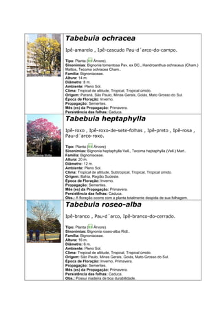 Tabebuia ochracea
Ipê-amarelo , Ipê-cascudo Pau-d´arco-do-campo.

Tipo: Planta ( Árvore).
Sinonímias: Bignonia tomentosa Pav. ex DC., Handroanthus ochraceus (Cham.)
Mattos, Tecoma ochracea Cham..
Família: Bignoniaceae.
Altura: 14 m.
Diâmetro: 8 m.
Ambiente: Pleno Sol.
Clima: Tropical de altitude, Tropical, Tropical úmido.
Origem: Paraná, São Paulo, Minas Gerais, Goiás, Mato Grosso do Sul.
Época de Floração: Inverno.
Propagação: Sementes.
Mês (es) da Propagação: Primavera.
Persistência das folhas: Caduca.

Tabebuia heptaphylla
Ipê-roxo , Ipê-roxo-de-sete-folhas , Ipê-preto , Ipê-rosa ,
Pau-d´arco-roxo.

Tipo: Planta ( Árvore)
Sinonímias: Bignonia heptaphylla Vell., Tecoma heptaphylla (Vell.) Mart..
Família: Bignoniaceae.
Altura: 20 m.
Diâmetro: 12 m.
Ambiente: Pleno Sol.
Clima: Tropical de altitude, Subtropical, Tropical, Tropical úmido.
Origem: Bahia, Região Sudeste.
Época de Floração: Inverno.
Propagação: Sementes.
Mês (es) da Propagação: Primavera.
Persistência das folhas: Caduca.
Obs.: A floração ocorre com a planta totalmente despida de sua folhagem.

Tabebuia roseo-alba
Ipê-branco , Pau-d´arco, Ipê-branco-do-cerrado.

Tipo: Planta ( Árvore).
Sinonímias: Bignonia roseo-alba Ridl..
Família: Bignoniaceae.
Altura: 16 m.
Diâmetro: 6 m.
Ambiente: Pleno Sol.
Clima: Tropical de altitude, Tropical, Tropical úmido.
Origem: São Paulo, Minas Gerais, Goiás, Mato Grosso do Sul.
Época de Floração: Inverno, Primavera.
Propagação: Sementes.
Mês (es) da Propagação: Primavera.
Persistência das folhas: Caduca.
Obs.: Possui madeira de boa durabilidade.
 