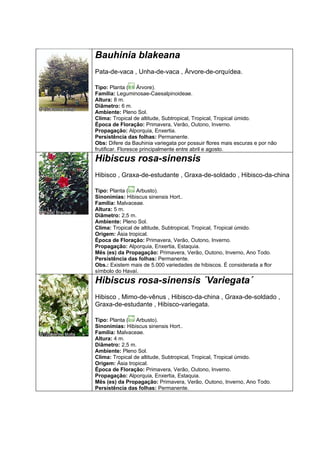 Bauhinia blakeana
Pata-de-vaca , Unha-de-vaca , Árvore-de-orquídea.

Tipo: Planta ( Árvore).
Família: Leguminosae-Caesalpinoideae.
Altura: 8 m.
Diâmetro: 6 m.
Ambiente: Pleno Sol.
Clima: Tropical de altitude, Subtropical, Tropical, Tropical úmido.
Época de Floração: Primavera, Verão, Outono, Inverno.
Propagação: Alporquia, Enxertia.
Persistência das folhas: Permanente.
Obs: Difere da Bauhinia variegata por possuir flores mais escuras e por não
frutificar. Floresce principalmente entre abril e agosto.
Hibiscus rosa-sinensis
Hibisco , Graxa-de-estudante , Graxa-de-soldado , Hibisco-da-china

Tipo: Planta ( Arbusto).
Sinonímias: Hibiscus sinensis Hort..
Família: Malvaceae.
Altura: 5 m.
Diâmetro: 2,5 m.
Ambiente: Pleno Sol.
Clima: Tropical de altitude, Subtropical, Tropical, Tropical úmido.
Origem: Ásia tropical.
Época de Floração: Primavera, Verão, Outono, Inverno.
Propagação: Alporquia, Enxertia, Estaquia.
Mês (es) da Propagação: Primavera, Verão, Outono, Inverno, Ano Todo.
Persistência das folhas: Permanente.
Obs.: Existem mais de 5.000 variedades de hibiscos. É considerada a flor
símbolo do Havaí.
Hibiscus rosa-sinensis ´Variegata´
Hibisco , Mimo-de-vênus , Hibisco-da-china , Graxa-de-soldado ,
Graxa-de-estudante , Hibisco-variegata.

Tipo: Planta ( Arbusto).
Sinonímias: Hibiscus sinensis Hort..
Família: Malvaceae.
Altura: 4 m.
Diâmetro: 2,5 m.
Ambiente: Pleno Sol.
Clima: Tropical de altitude, Subtropical, Tropical, Tropical úmido.
Origem: Ásia tropical.
Época de Floração: Primavera, Verão, Outono, Inverno.
Propagação: Alporquia, Enxertia, Estaquia.
Mês (es) da Propagação: Primavera, Verão, Outono, Inverno, Ano Todo.
Persistência das folhas: Permanente.
 