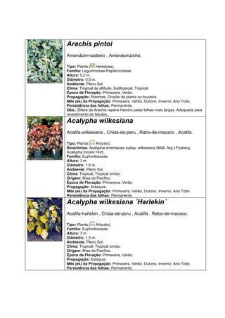 Arachis pintoi
Amendoim-rasteiro , Amendoinzinho.

Tipo: Planta ( Herbácea).
Família: Leguminosae-Papilionoideae.
Altura: 0,2 m.
Diâmetro: 0,5 m.
Ambiente: Pleno Sol.
Clima: Tropical de altitude, Subtropical, Tropical.
Época de Floração: Primavera, Verão.
Propagação: Rizomas, Divisão da planta ou touceira.
Mês (es) da Propagação: Primavera, Verão, Outono, Inverno, Ano Todo.
Persistência das folhas: Permanente.
Obs.: Difere de Arachis repens Handro pelas folhas mais largas. Adequada para
revestimento de taludes.
Acalypha wilkesiana
Acalifa-wilkesiana , Crista-de-peru , Rabo-de-macaco , Acalifa.

Tipo: Planta ( Arbusto).
Sinonímias: Acalypha amentacea subsp. wilkesiana (Müll. Arg.) Fosberg,
Acalypha tricolor Hort..
Família: Euphorbiaceae.
Altura: 3 m.
Diâmetro: 1,5 m.
Ambiente: Pleno Sol.
Clima: Tropical, Tropical úmido.
Origem: Ilhas do Pacífico.
Época de Floração: Primavera, Verão.
Propagação: Estaquia.
Mês (es) da Propagação: Primavera, Verão, Outono, Inverno, Ano Todo.
Persistência das folhas: Permanente.
Acalypha wilkesiana ´Harlekin´
Acalifa-harlekin , Crista-de-peru , Acalifa , Rabo-de-macaco.

Tipo: Planta ( Arbusto).
Família: Euphorbiaceae.
Altura: 3 m.
Diâmetro: 1,5 m.
Ambiente: Pleno Sol.
Clima: Tropical, Tropical úmido.
Origem: Ilhas do Pacífico.
Época de Floração: Primavera, Verão.
Propagação: Estaquia.
Mês (es) da Propagação: Primavera, Verão, Outono, Inverno, Ano Todo.
Persistência das folhas: Permanente.
 